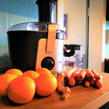 Seerose Boutique-pension מלון 3*