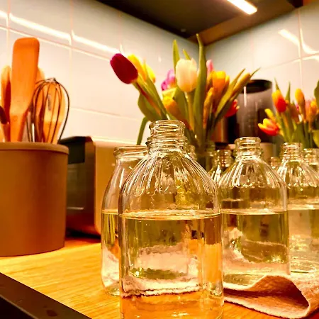 Seerose Boutique-pension מלון