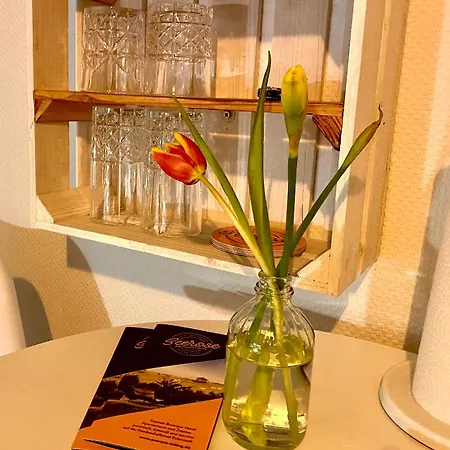 מלון Seerose Boutique-pension 3*