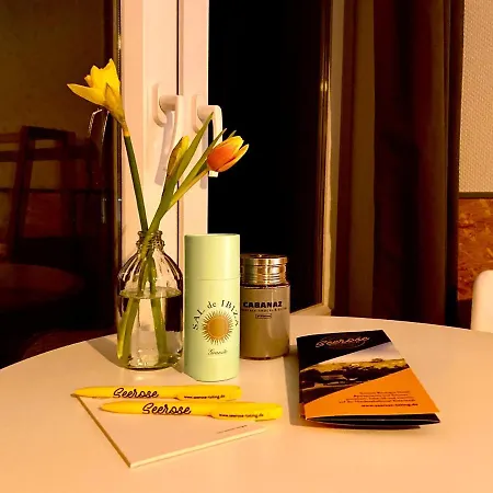 Seerose Boutique-pension מלון