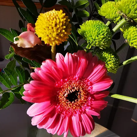 Seerose Boutique-pension Hotel