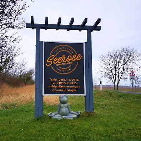 מלון Seerose Boutique-pension 3*